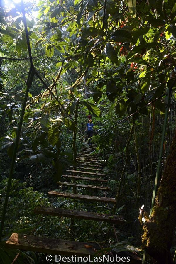 Ciudad De Las Rocas La Fortuna Gallo Giro Eksteriør bilde