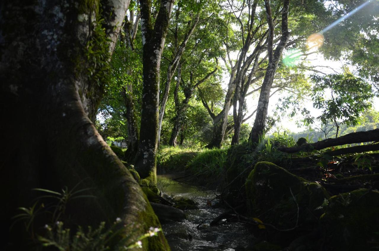 Ciudad De Las Rocas La Fortuna Gallo Giro Eksteriør bilde